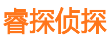 河东侦探调查公司